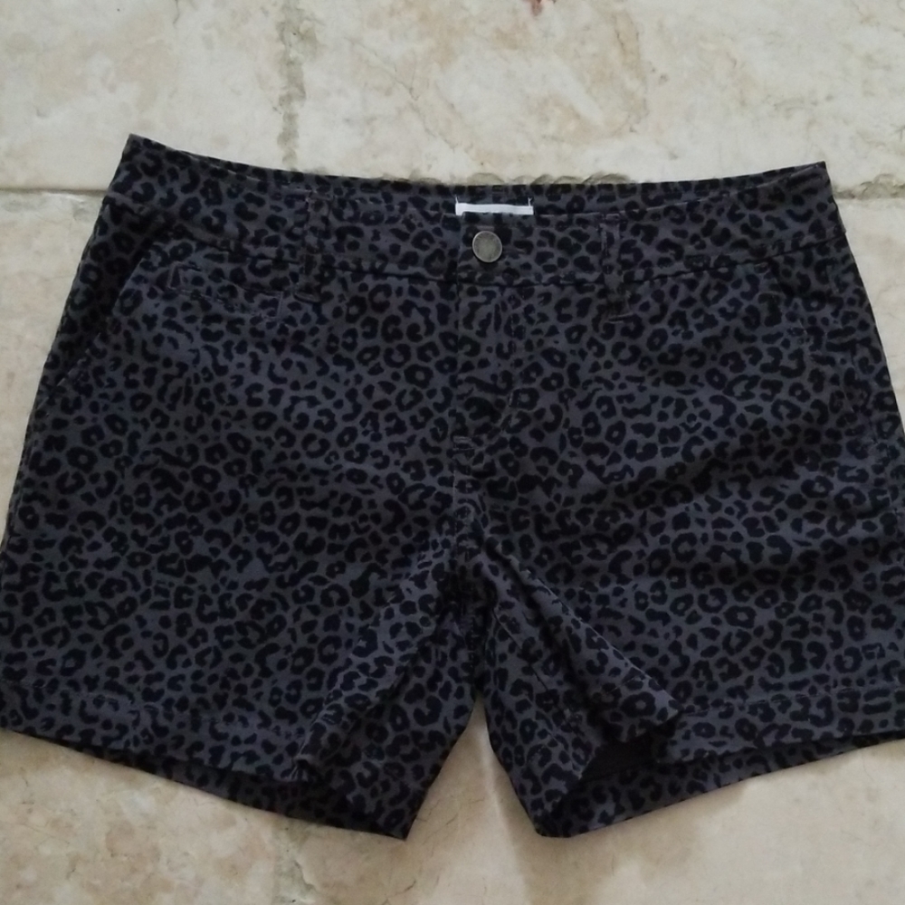 Market & Spruce Lorraine shorts sz 2